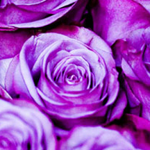 CC在线压力测试